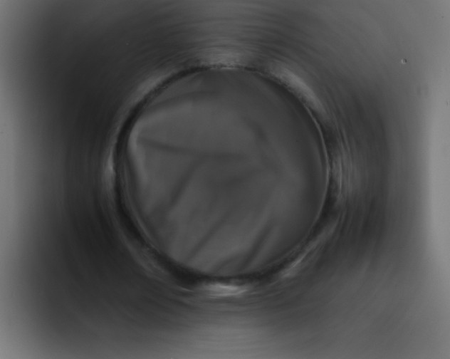 X0000092100674200710031213