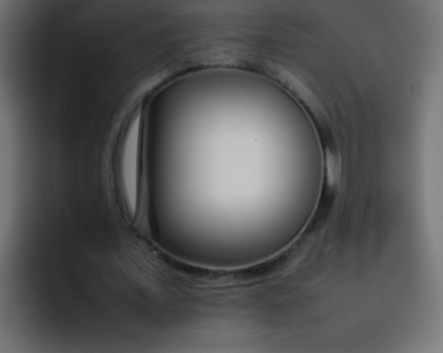 X0000092100675200710031213