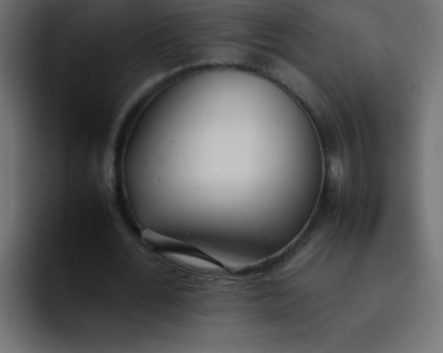 X0000092100676200710031213