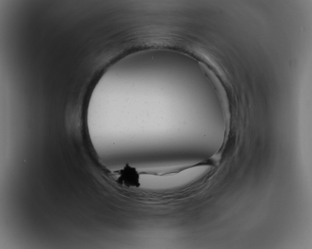 X0000092100677200710031213