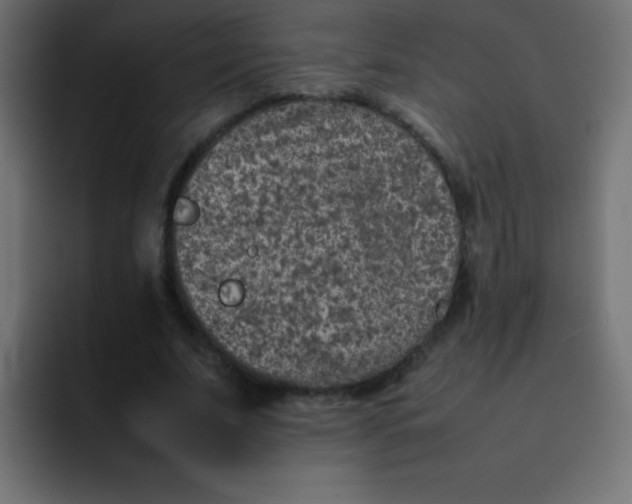 X0000092100679200710031213