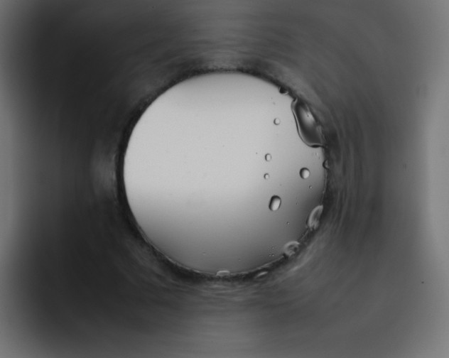 X0000092100681200710031213