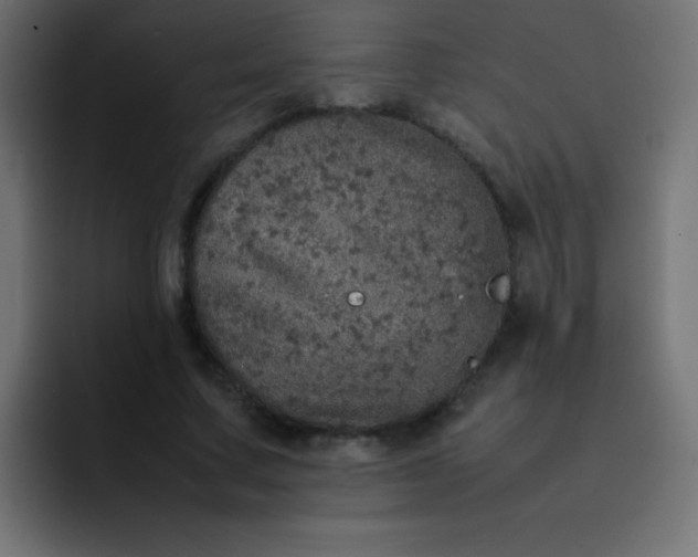 X0000092100683200710031213