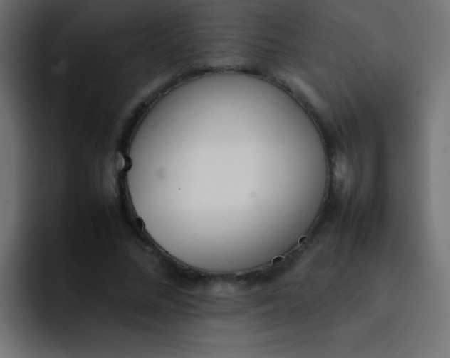 X0000092100684200710031213