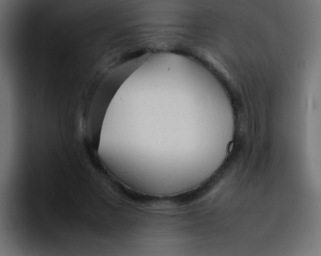 X0000092100685200710031212