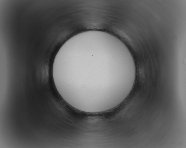 X0000092100686200710031212