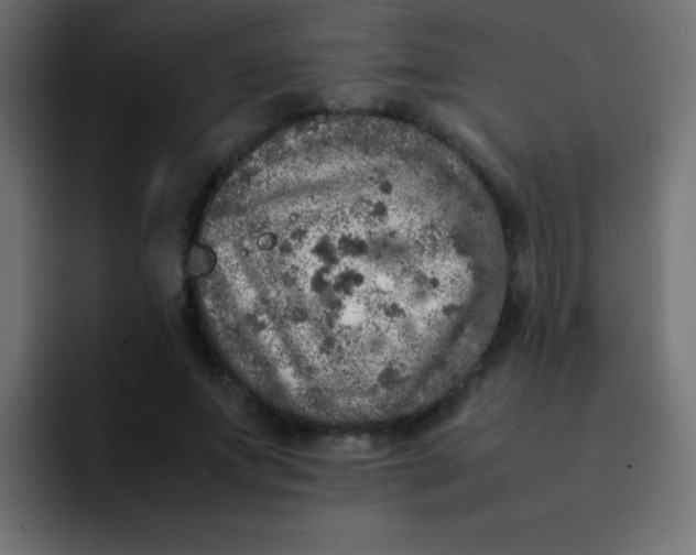 X0000092100687200710031212