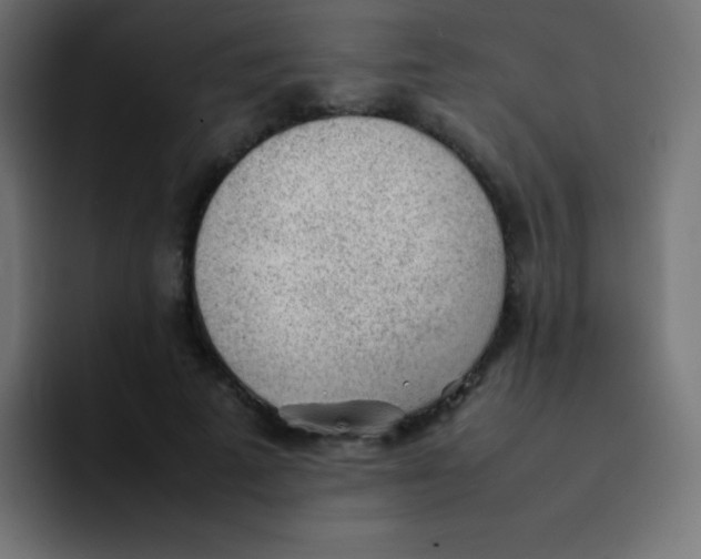 X0000092100689200710031212