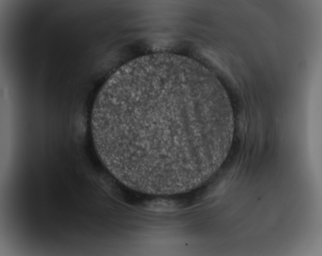 X0000092100691200710031212