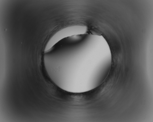 X0000092100693200710031212