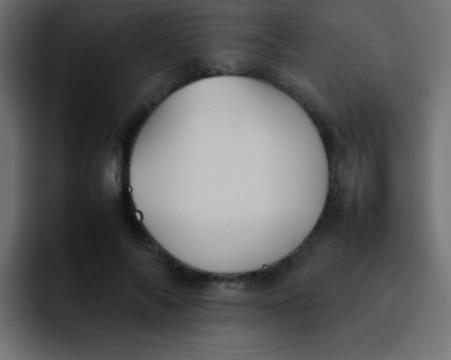 X0000092100694200710031212