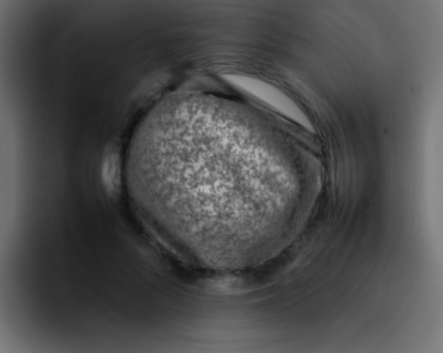 X0000092100696200710031212