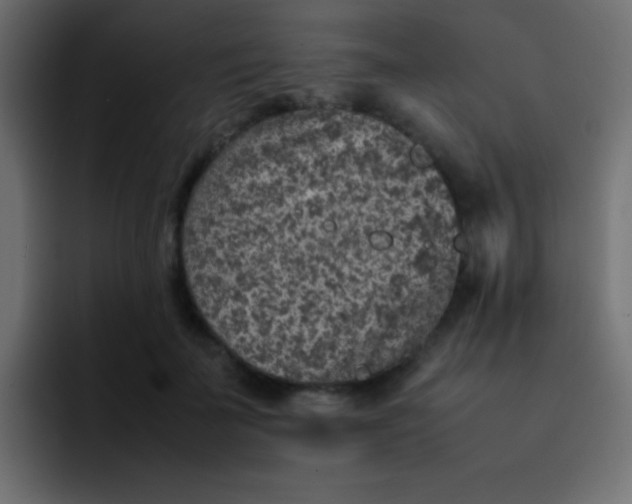 X0000092100699200710031212