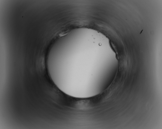 X0000092100700200710031212