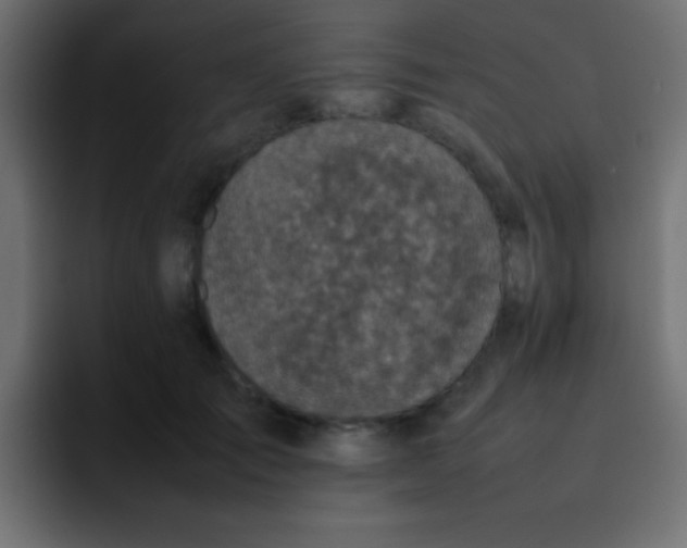 X0000092100701200710031212