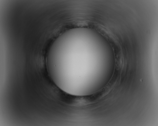 X0000092100704200710031212