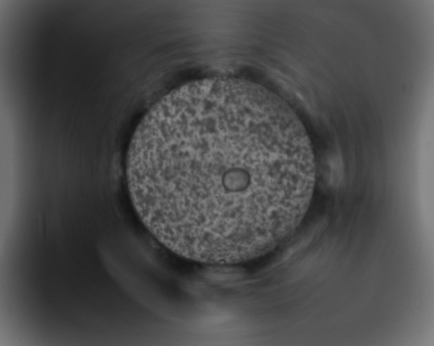 X0000092100707200710031212