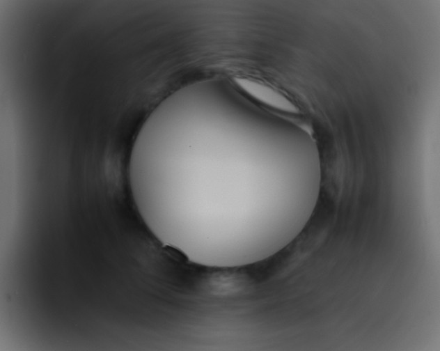 X0000092100708200710031212