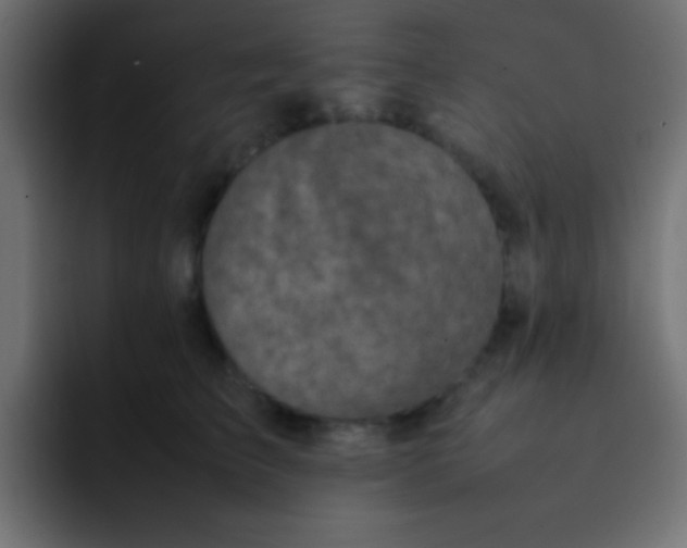 X0000092100709200710031212