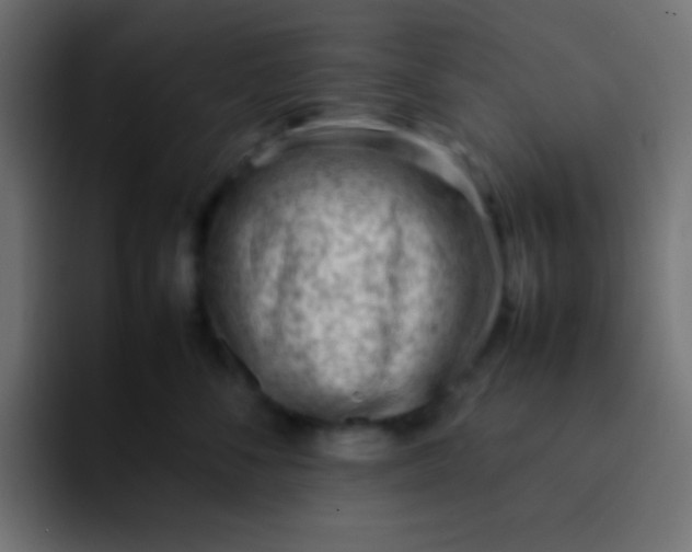 X0000092100716200710031212