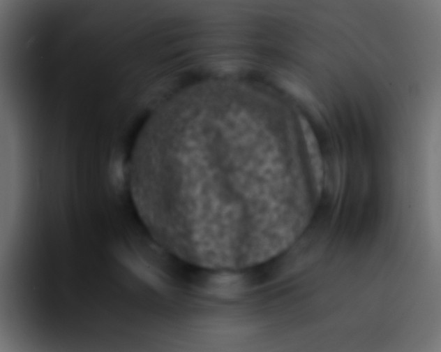 X0000092100718200710031212