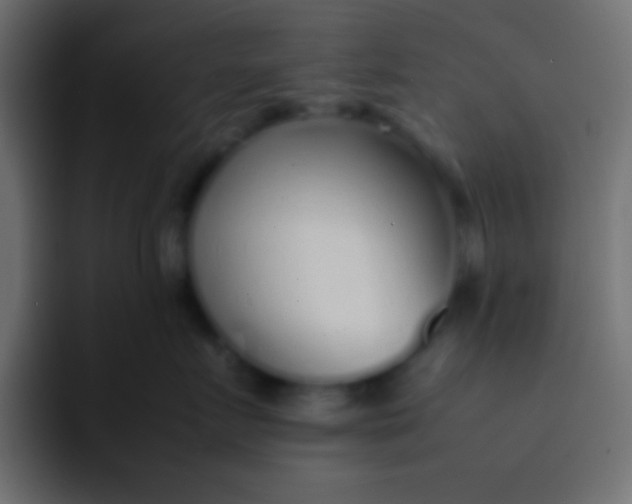 X0000092100719200710031212