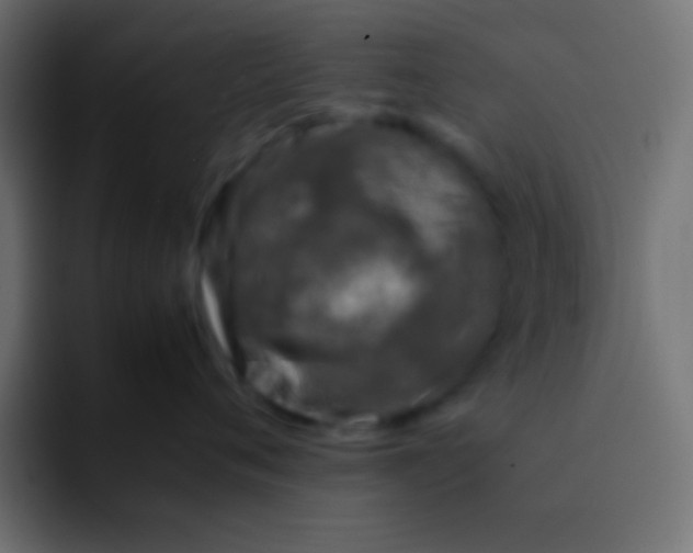 X0000092100720200710031212