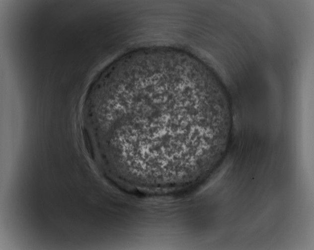 X0000092100721200710031212