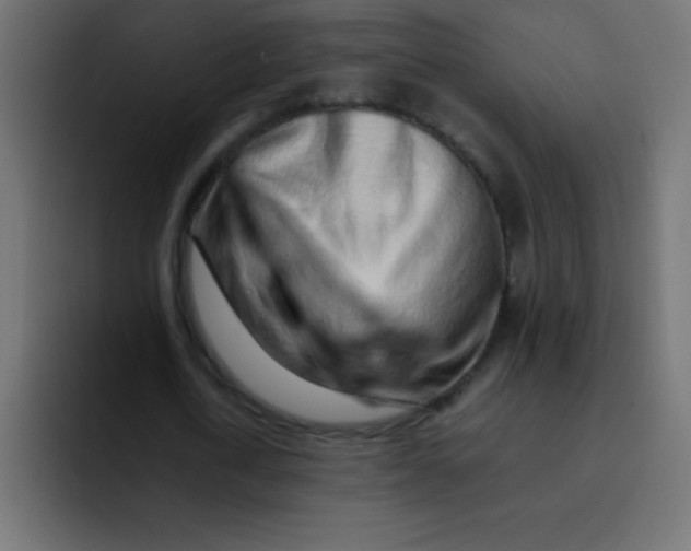 X0000092100722200710031212