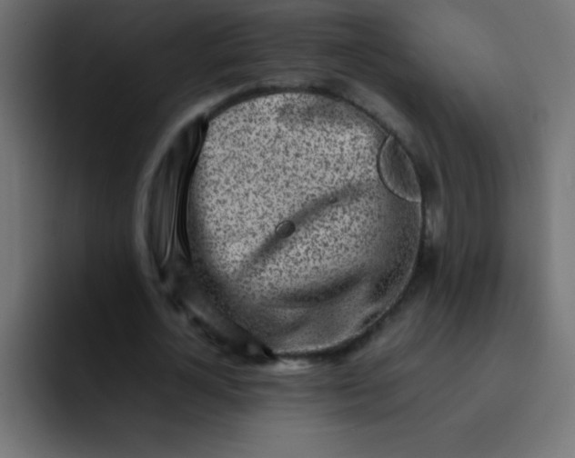 X0000092100724200710031212