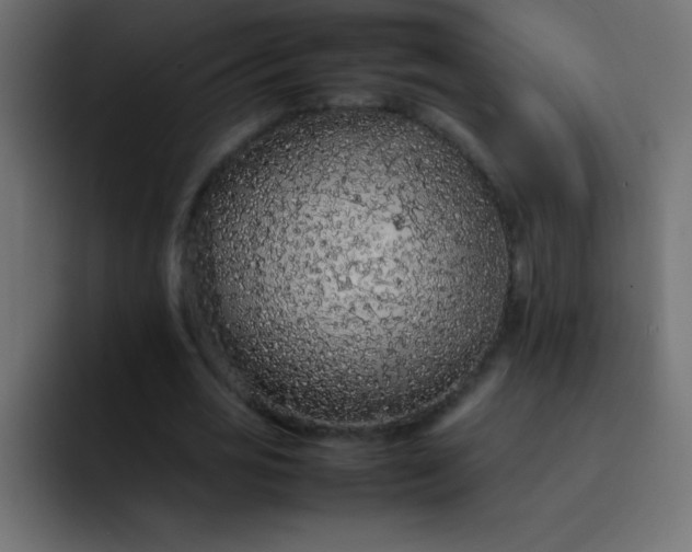 X0000092100725200710031212