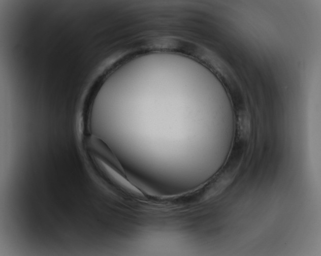 X0000092100726200710031212