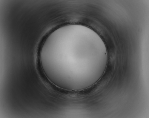 X0000092100728200710031212