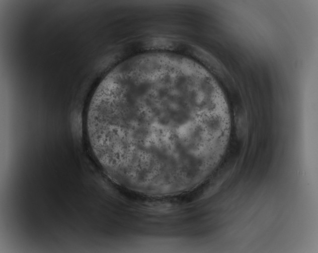 X0000092100729200710031212