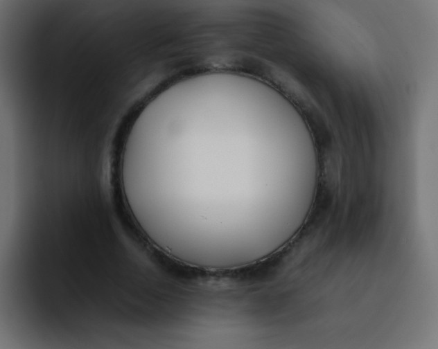 X0000092100730200710031212