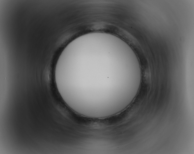 X0000092100732200710031212