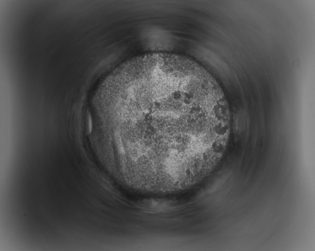 X0000092100733200710031212