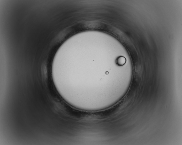 X0000092100734200710031212