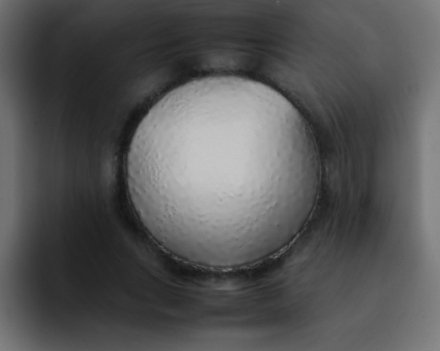 X0000092100735200710031212