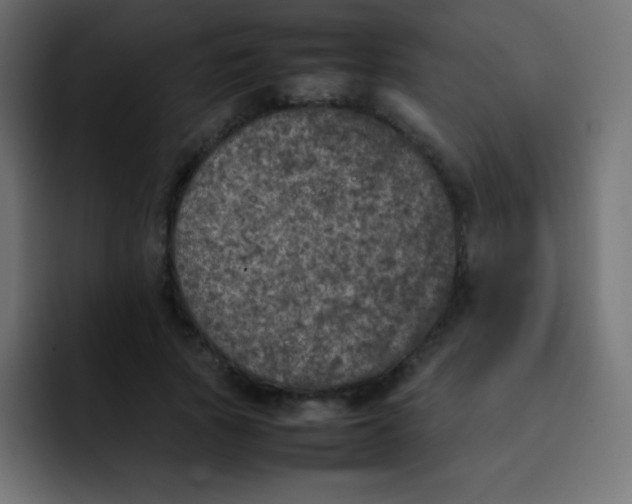 X0000092100737200710031212