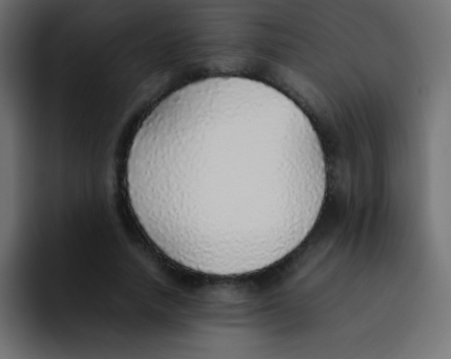 X0000092100738200710031212