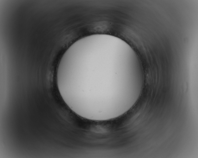 X0000092100739200710031212