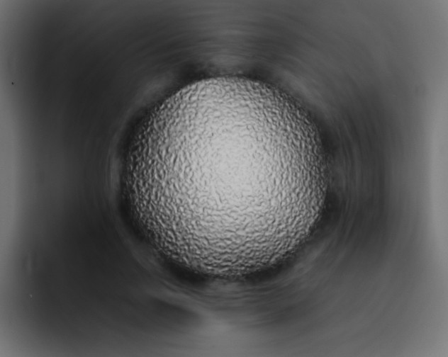 X0000092100742200710031212