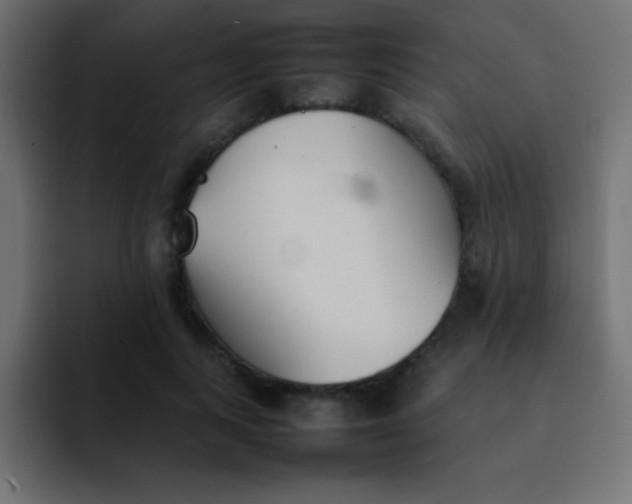 X0000092100743200710031212