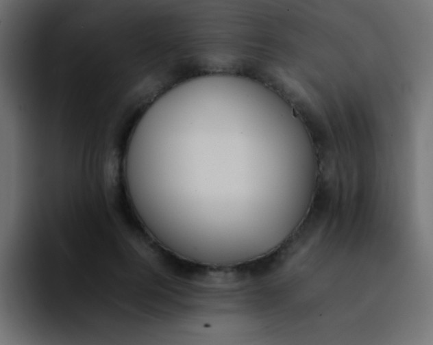 X0000092100744200710031212