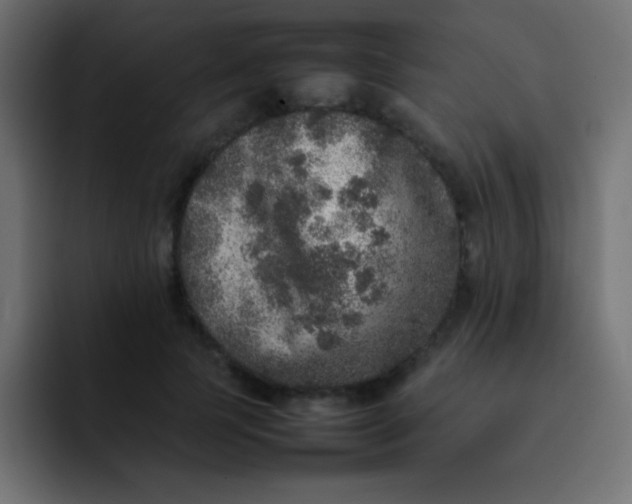 X0000092100745200710031212