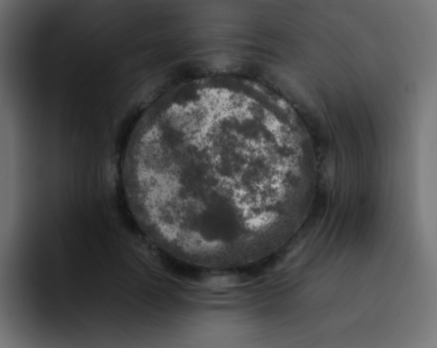 X0000092100746200710031212