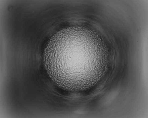 X0000092100749200710031212