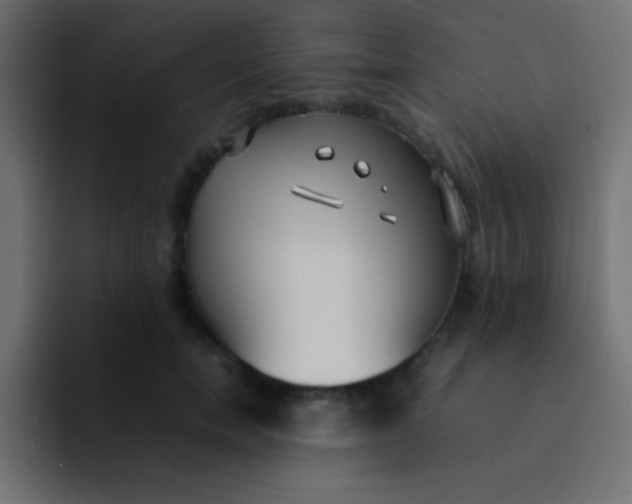 X0000092100750200710031212