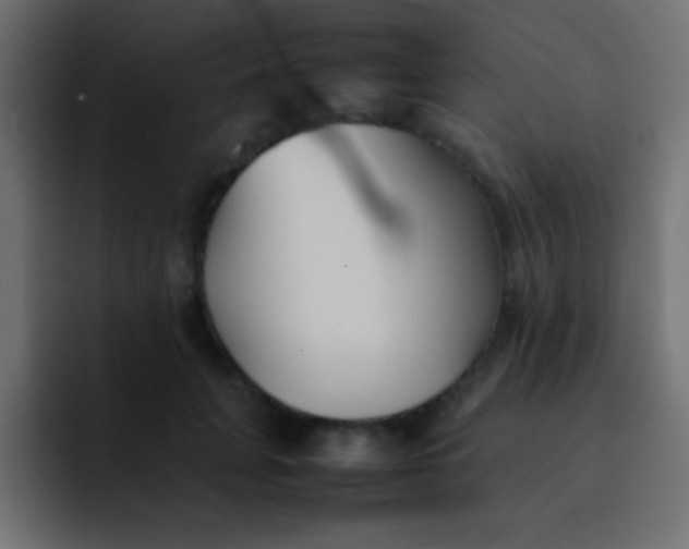 X0000092100751200710031212